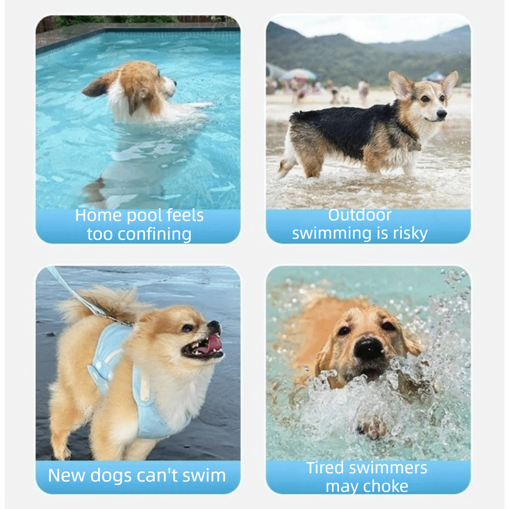 Ayarlanabilir Köpek Can Yeleği - Dog Life Jacket incelemesi ve fiyatı