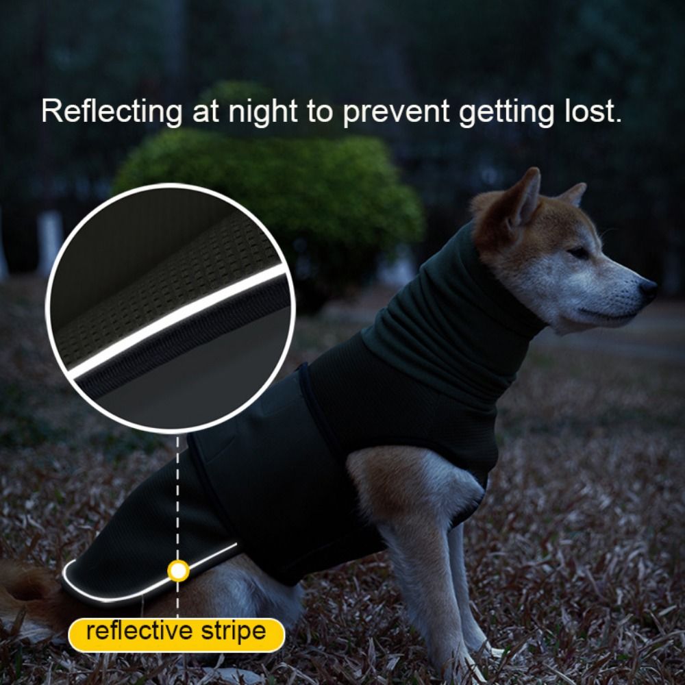 Pratik Elastik Köpek Anksiyete - Dog Anxiety Vest incelemesi ve fiyatı