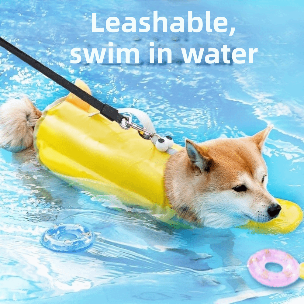 Ayarlanabilir Köpek Can Yeleği - Dog Life Jacket incelemesi ve fiyatı