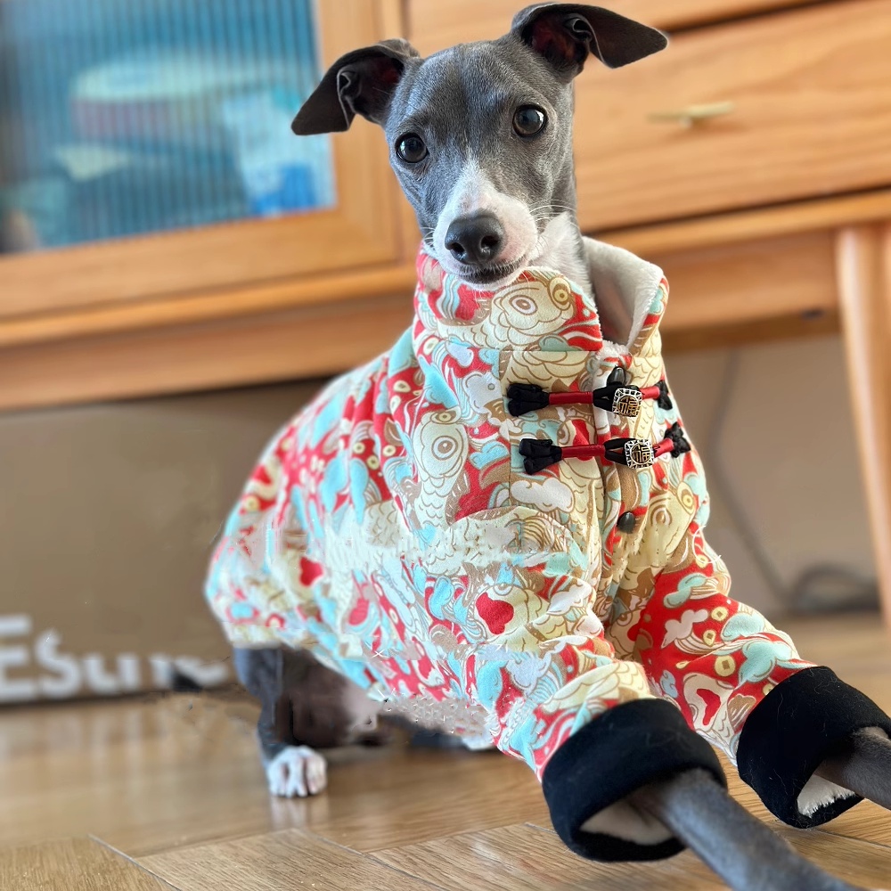 Çin Düğüm Toka Polar Ceket İta - Dog Life Jacket incelemesi ve fiyatı