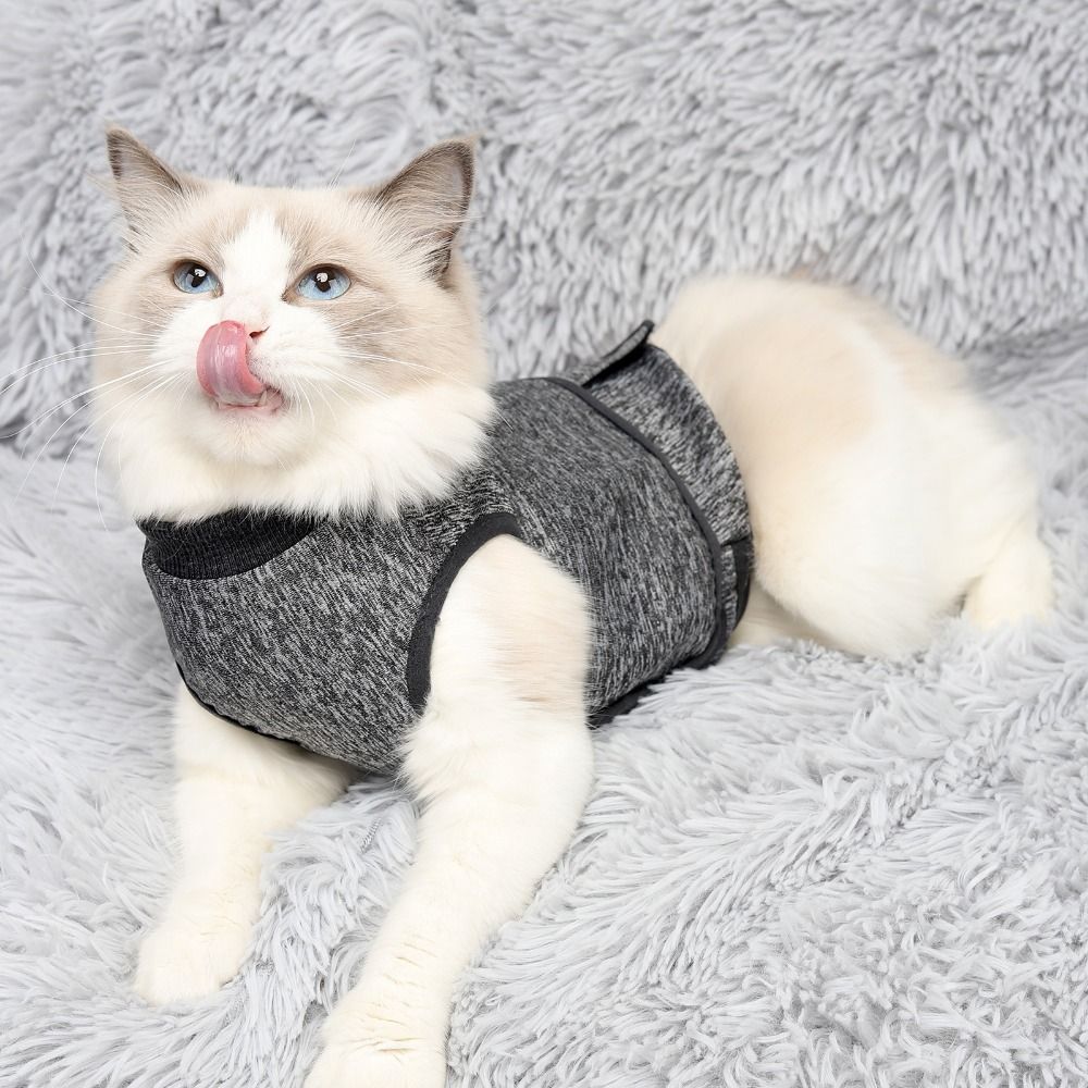 Ayarlanabilir Kedi Sakinleştir - Dog Anxiety Vest incelemesi ve fiyatı