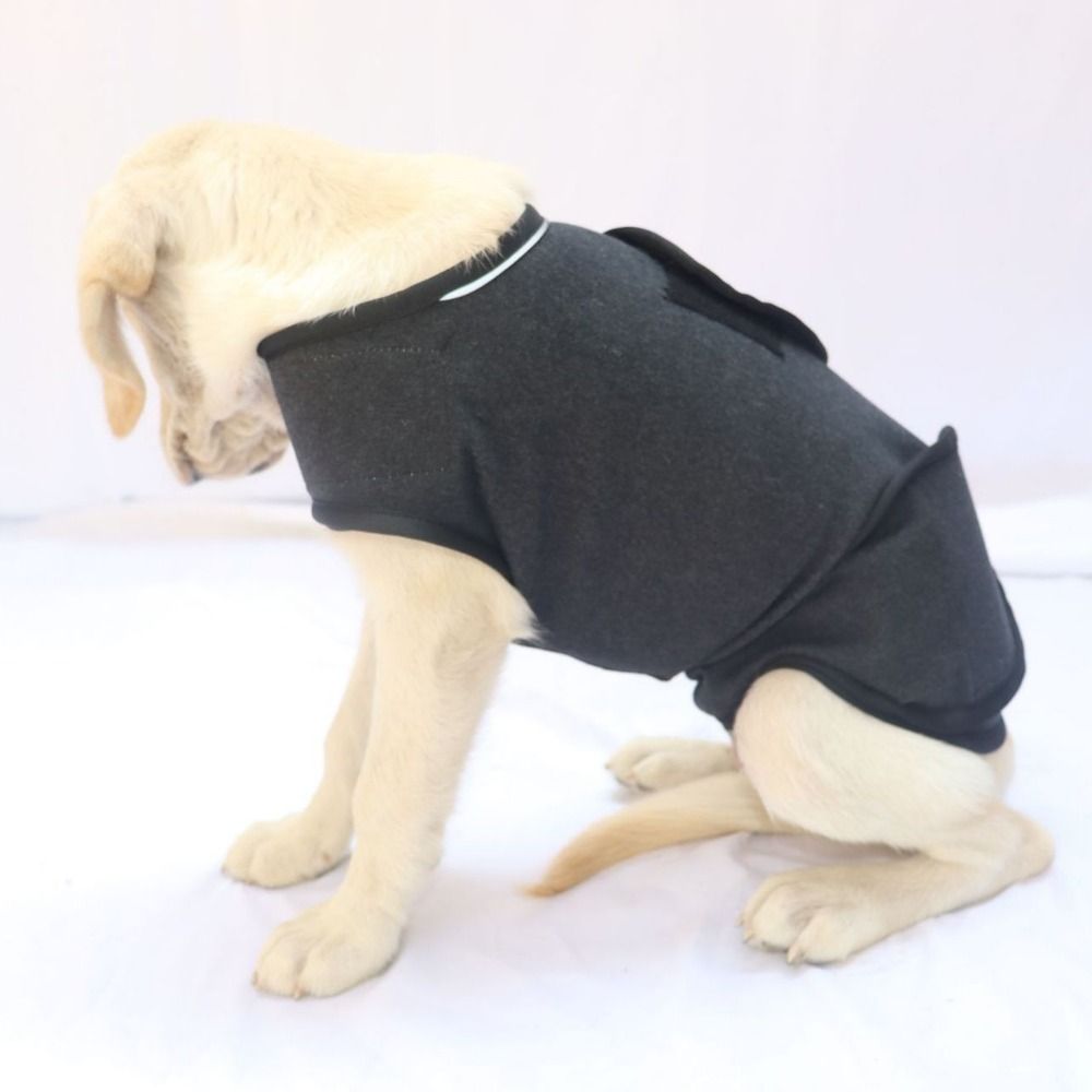 Pet sıcak yelek nefes köpek an - Dog Anxiety Vest incelemesi ve fiyatı