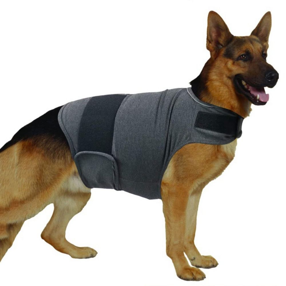 Pet sıcak yelek nefes köpek an - Dog Anxiety Vest incelemesi ve fiyatı