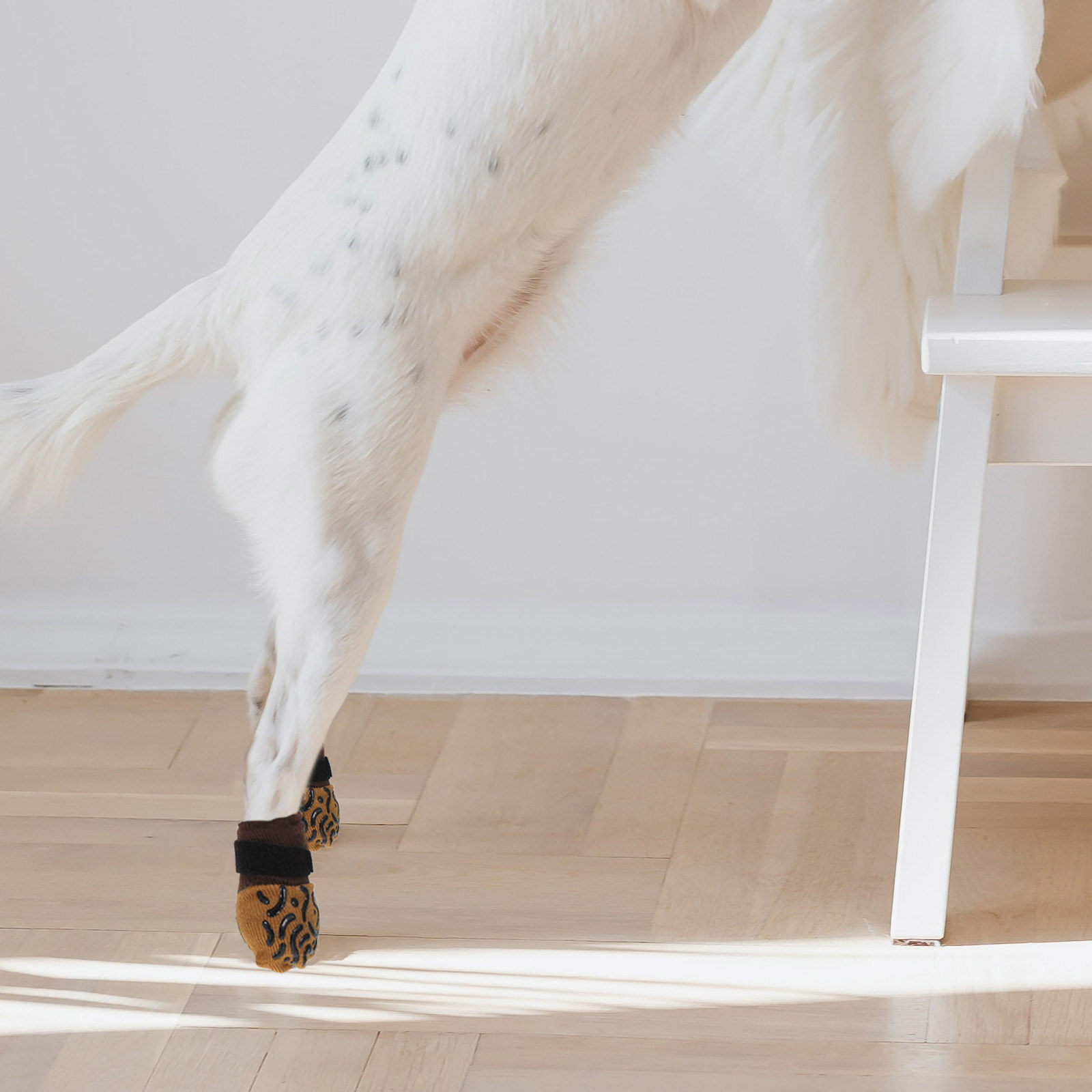 4 adet köpek çorapları kaymaz  - Dog Booties Paw Protector incelemesi ve fiyatı